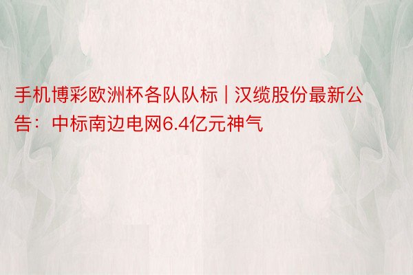手机博彩欧洲杯各队队标 | 汉缆股份最新公告：中标南边电网6.4亿元神气