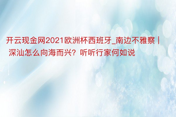 开云现金网2021欧洲杯西班牙_南边不雅察 | 深汕怎么向海而兴？听听行家何如说