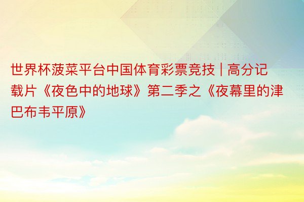 世界杯菠菜平台中国体育彩票竞技 | 高分记载片《夜色中的地球》第二季之《夜幕里的津巴布韦平原》