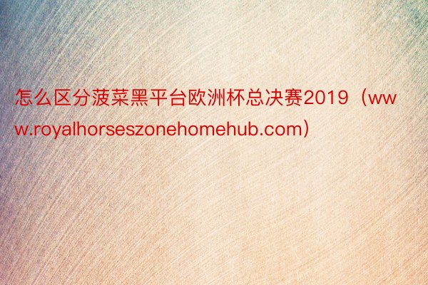 怎么区分菠菜黑平台欧洲杯总决赛2019（www.royalhorseszonehomehub.com）