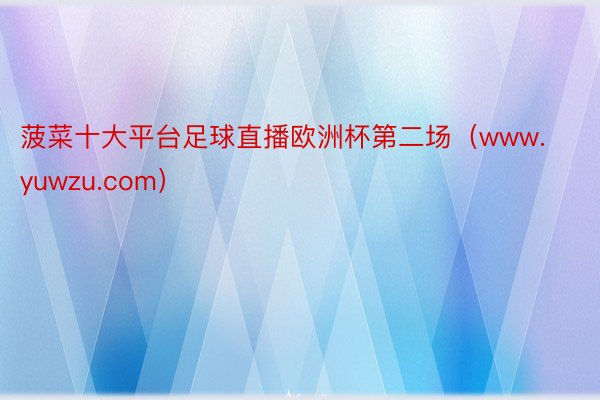 菠菜十大平台足球直播欧洲杯第二场（www.yuwzu.com）
